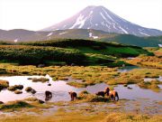 Камчатка - полуостров вулканов и гейзеров